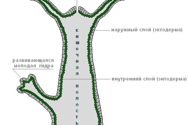Кракен тор маркет пв