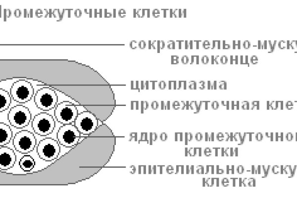 Зайти на кракен