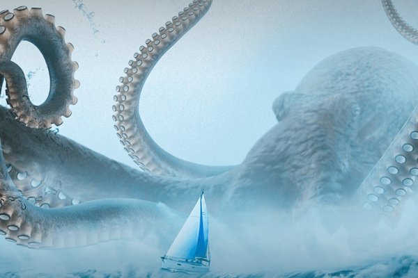 Kraken 17 at net