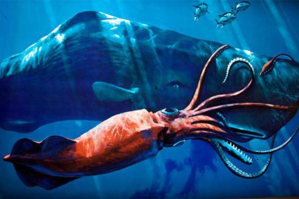 Kraken darknet kraken darknet 2n com