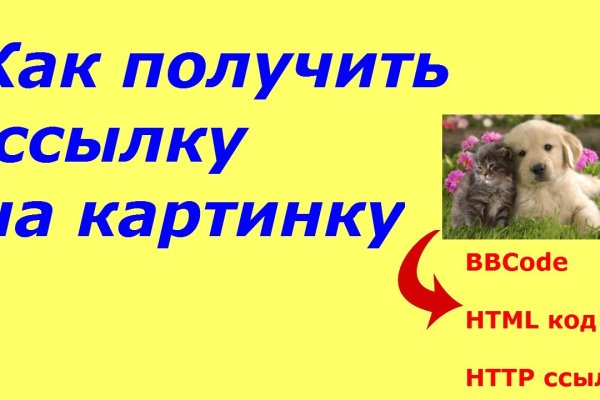 Сайт кракен рабочая ссылка