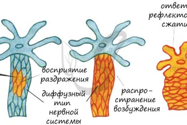 Kraken россия